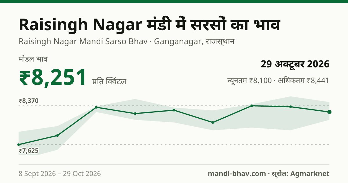 Raisingh Nagar मंडी में सरसों का भाव 29 अक्टूबर 2026: मोडल ₹8,251 प्रति क्विंटल, भाव के रुझान का चार्ट