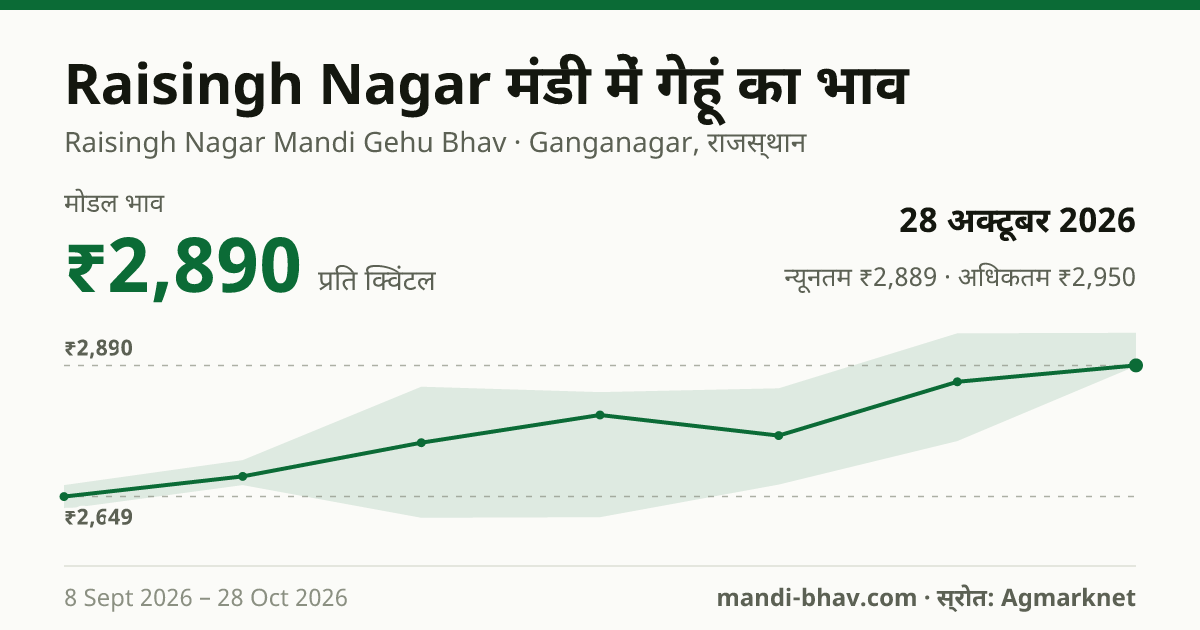 Raisingh Nagar मंडी में गेहूं का भाव 28 अक्टूबर 2026: मोडल ₹2,890 प्रति क्विंटल, भाव के रुझान का चार्ट