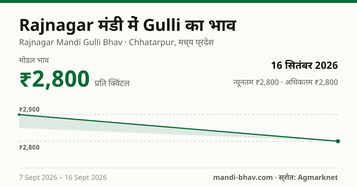 Rajnagar मंडी में Gulli का भाव 16 सितंबर 2026: मोडल ₹2,800 प्रति क्विंटल, भाव के रुझान का चार्ट
