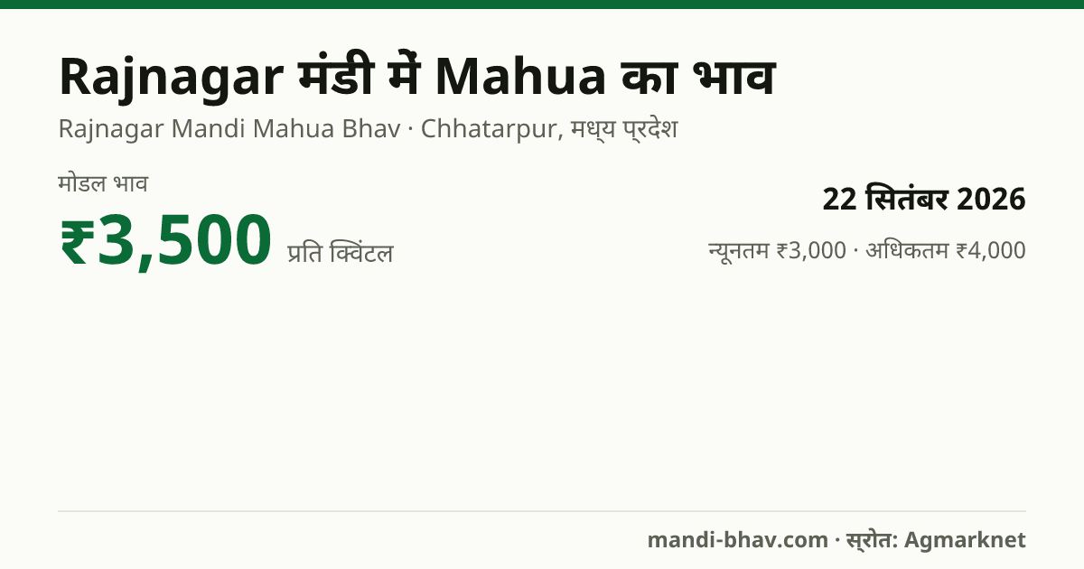 Rajnagar मंडी में Mahua का भाव 22 सितंबर 2026: मोडल ₹3,500 प्रति क्विंटल, भाव के रुझान का चार्ट