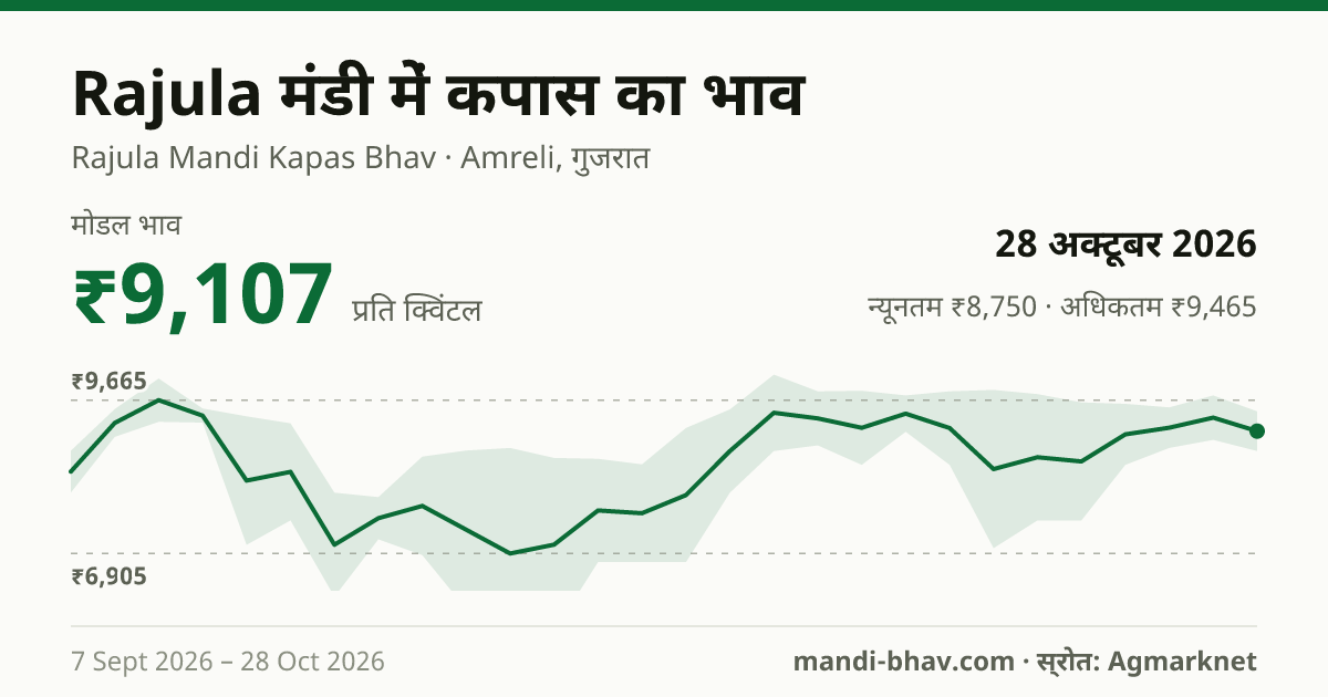 Rajula मंडी में कपास का भाव 28 अक्टूबर 2026: मोडल ₹9,107 प्रति क्विंटल, भाव के रुझान का चार्ट