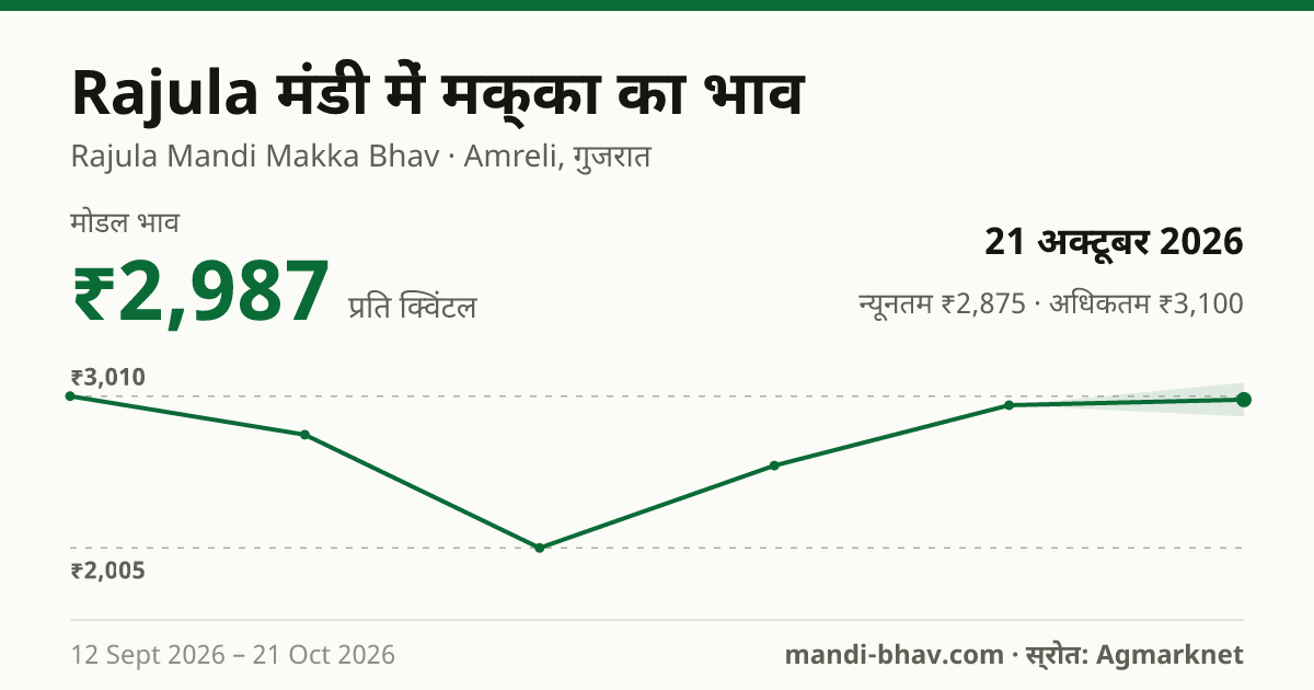 Rajula मंडी में मक्का का भाव 21 अक्टूबर 2026: मोडल ₹2,987 प्रति क्विंटल, भाव के रुझान का चार्ट