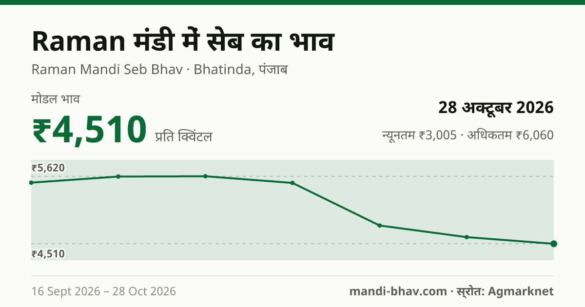 Raman मंडी में सेब का भाव 28 अक्टूबर 2026: मोडल ₹4,510 प्रति क्विंटल, भाव के रुझान का चार्ट