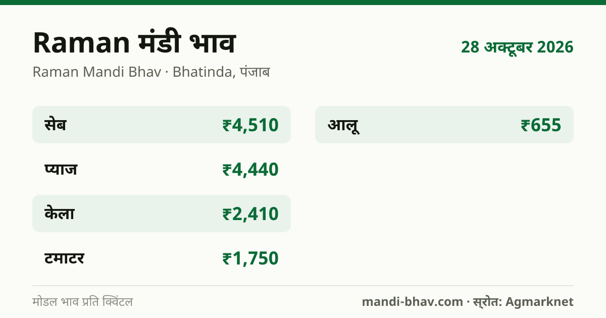 Raman मंडी भाव 28 अक्टूबर 2026: फसलवार मोडल रेट प्रति क्विंटल