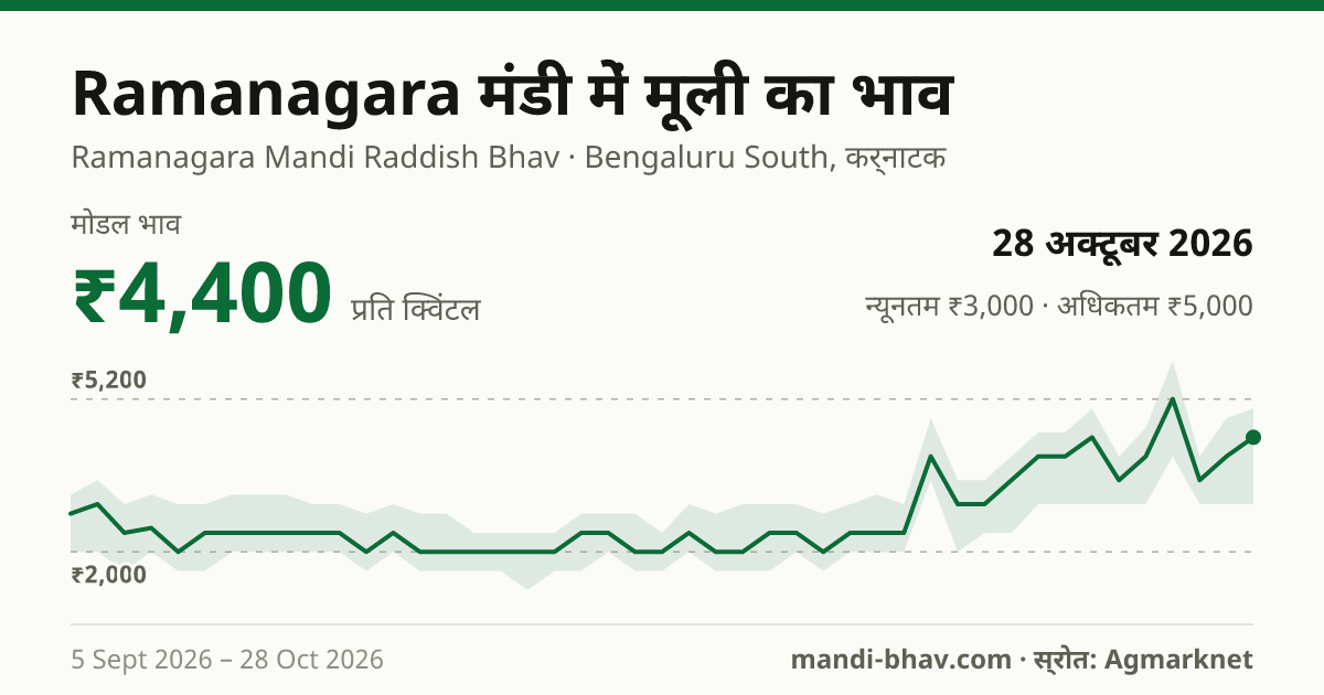Ramanagara मंडी में मूली का भाव 28 अक्टूबर 2026: मोडल ₹4,400 प्रति क्विंटल, भाव के रुझान का चार्ट