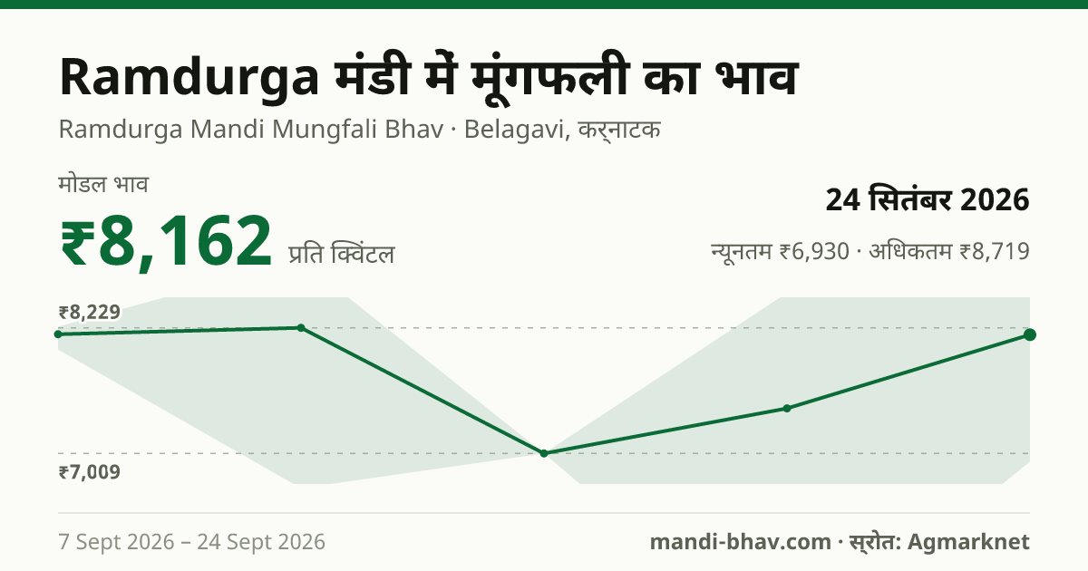 Ramdurga मंडी में मूंगफली का भाव 24 सितंबर 2026: मोडल ₹8,162 प्रति क्विंटल, भाव के रुझान का चार्ट