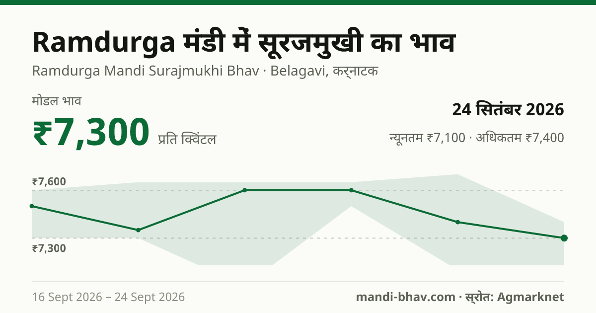 Ramdurga मंडी में सूरजमुखी का भाव 24 सितंबर 2026: मोडल ₹7,300 प्रति क्विंटल, भाव के रुझान का चार्ट