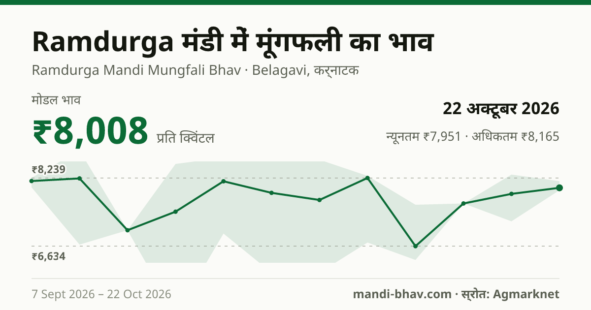 Ramdurga मंडी में मूंगफली का भाव 22 अक्टूबर 2026: मोडल ₹8,008 प्रति क्विंटल, भाव के रुझान का चार्ट