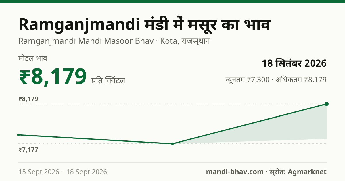 Ramganjmandi मंडी में मसूर का भाव 18 सितंबर 2026: मोडल ₹8,179 प्रति क्विंटल, भाव के रुझान का चार्ट