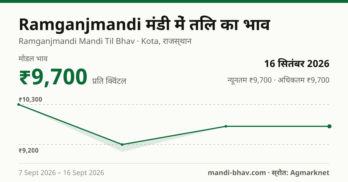 Ramganjmandi मंडी में तिल का भाव 16 सितंबर 2026: मोडल ₹9,700 प्रति क्विंटल, भाव के रुझान का चार्ट
