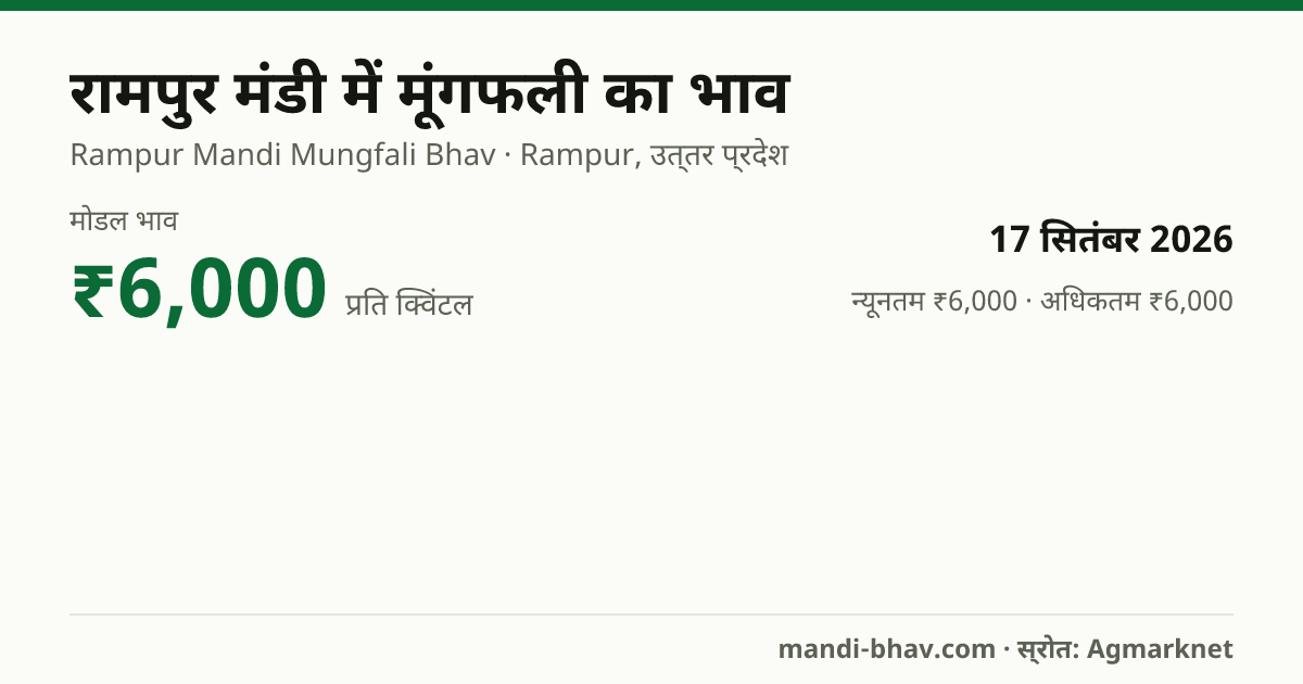 रामपुर मंडी में मूंगफली का भाव 17 सितंबर 2026: मोडल ₹6,000 प्रति क्विंटल, भाव के रुझान का चार्ट