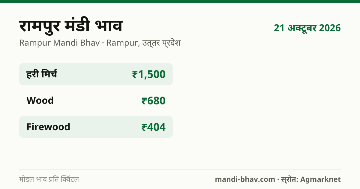 रामपुर मंडी भाव 21 अक्टूबर 2026: फसलवार मोडल रेट प्रति क्विंटल