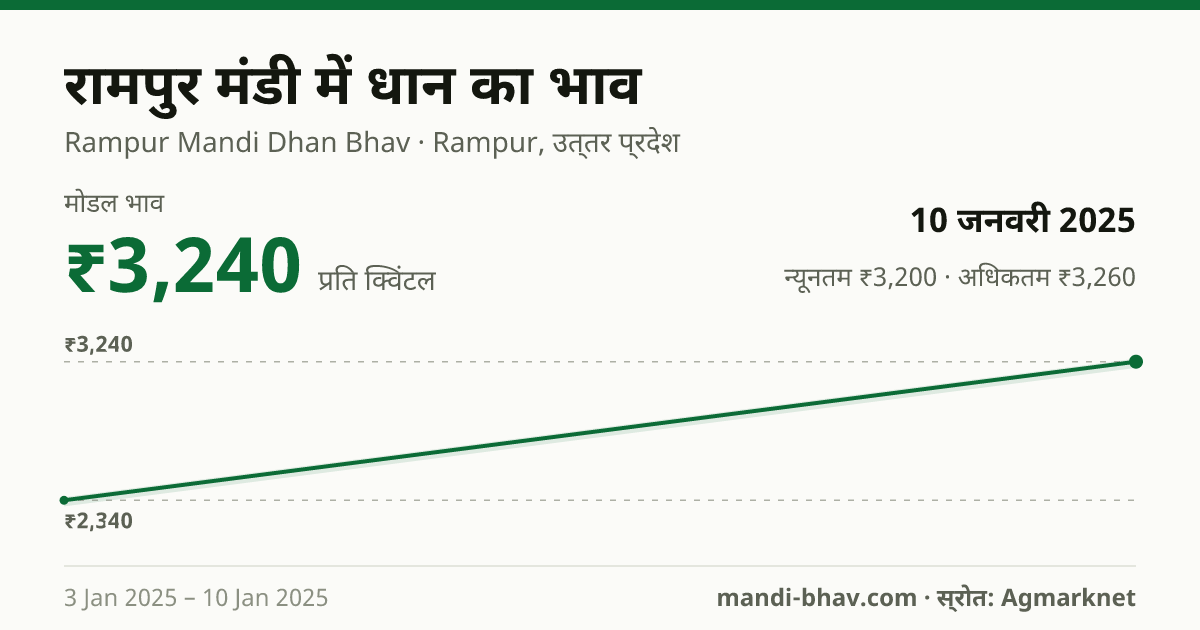 रामपुर मंडी में धान का भाव 10 जनवरी 2025: मोडल ₹3,240 प्रति क्विंटल, भाव के रुझान का चार्ट