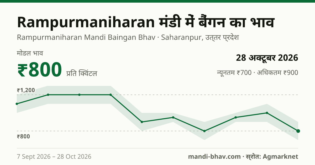 Rampurmaniharan मंडी में बैंगन का भाव 28 अक्टूबर 2026: मोडल ₹800 प्रति क्विंटल, भाव के रुझान का चार्ट