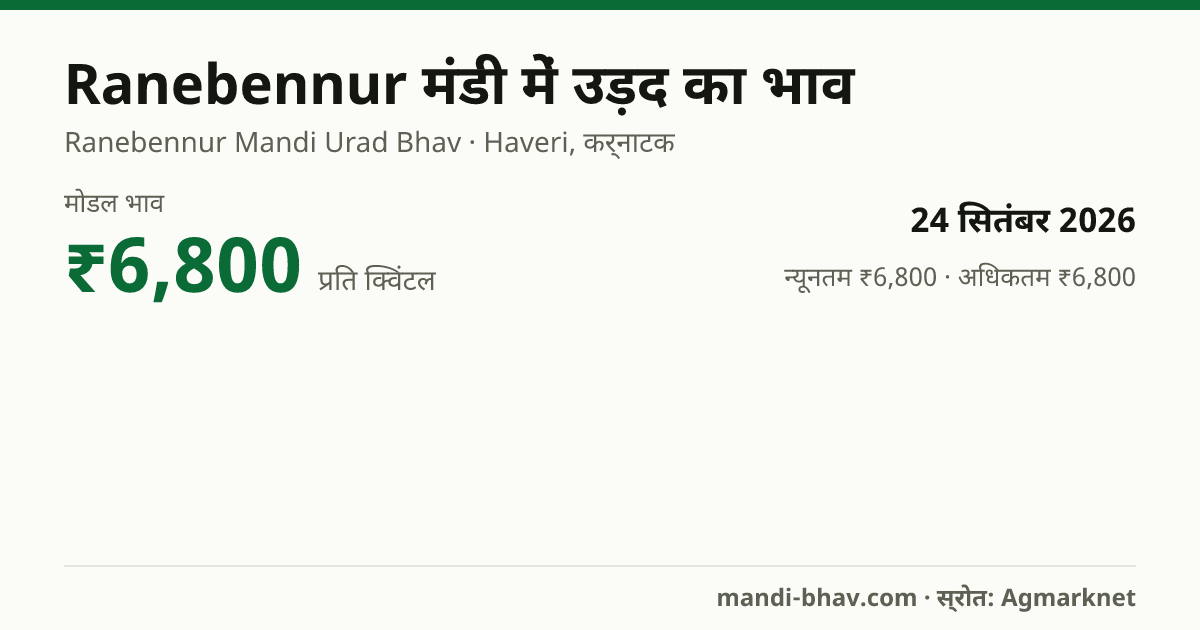 Ranebennur मंडी में उड़द का भाव 24 सितंबर 2026: मोडल ₹6,800 प्रति क्विंटल, भाव के रुझान का चार्ट