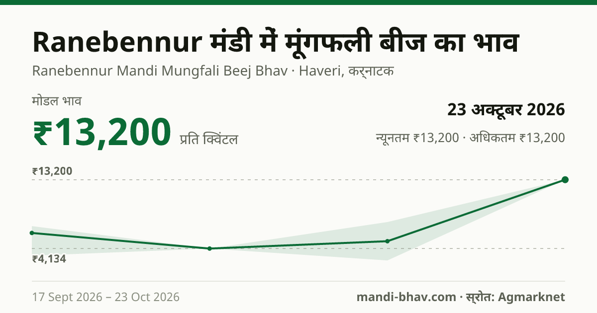 Ranebennur मंडी में मूंगफली बीज का भाव 23 अक्टूबर 2026: मोडल ₹13,200 प्रति क्विंटल, भाव के रुझान का चार्ट