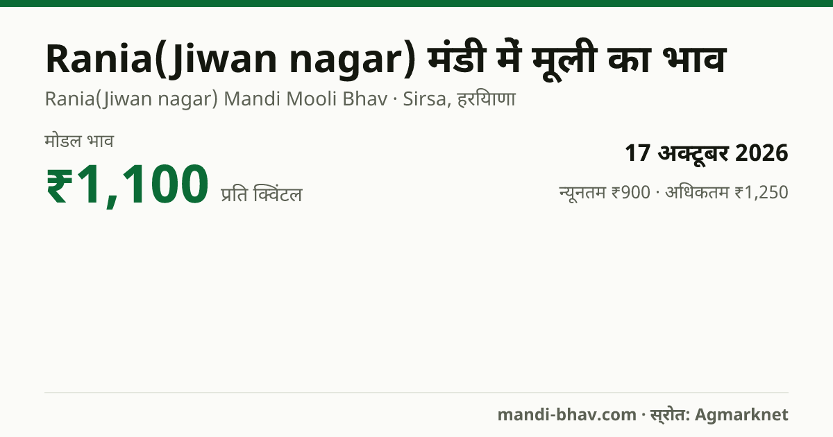 Rania(Jiwan nagar) मंडी में मूली का भाव 17 अक्टूबर 2026: मोडल ₹1,100 प्रति क्विंटल, भाव के रुझान का चार्ट