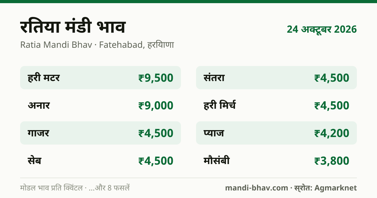 रतिया मंडी भाव 24 अक्टूबर 2026: फसलवार मोडल रेट प्रति क्विंटल