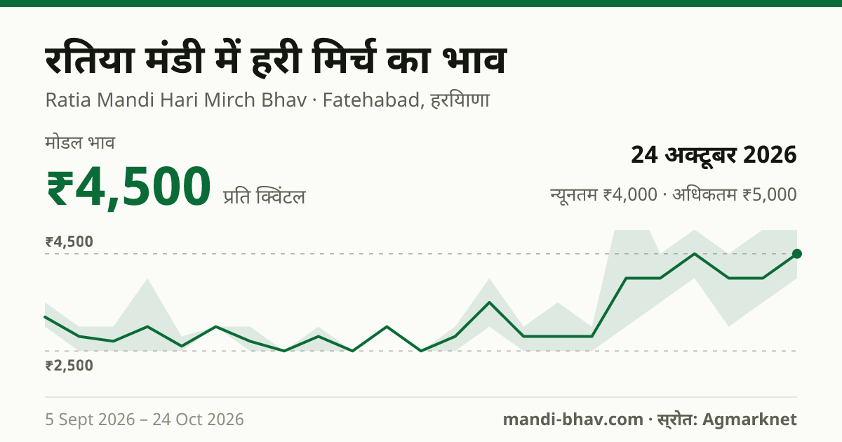 रतिया मंडी में हरी मिर्च का भाव 24 अक्टूबर 2026: मोडल ₹4,500 प्रति क्विंटल, भाव के रुझान का चार्ट
