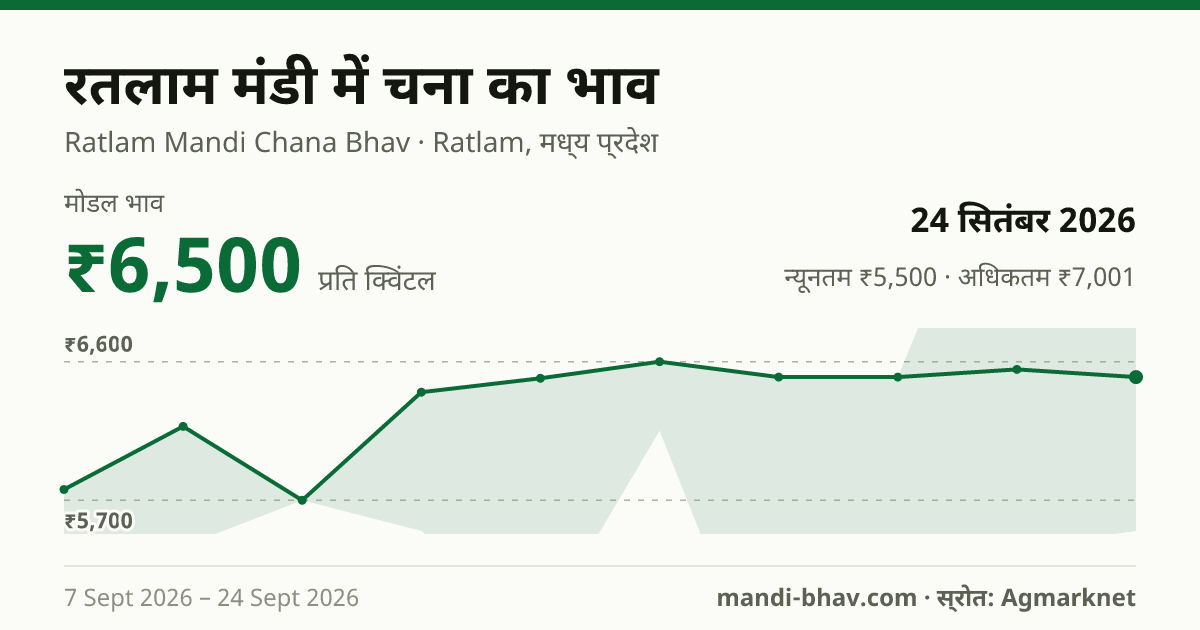 रतलाम मंडी में चना का भाव 24 सितंबर 2026: मोडल ₹6,500 प्रति क्विंटल, भाव के रुझान का चार्ट