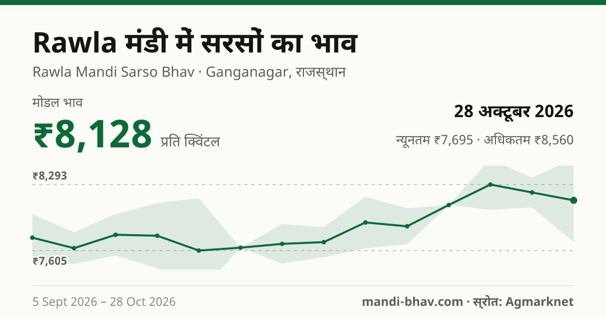 Rawla मंडी में सरसों का भाव 28 अक्टूबर 2026: मोडल ₹8,128 प्रति क्विंटल, भाव के रुझान का चार्ट