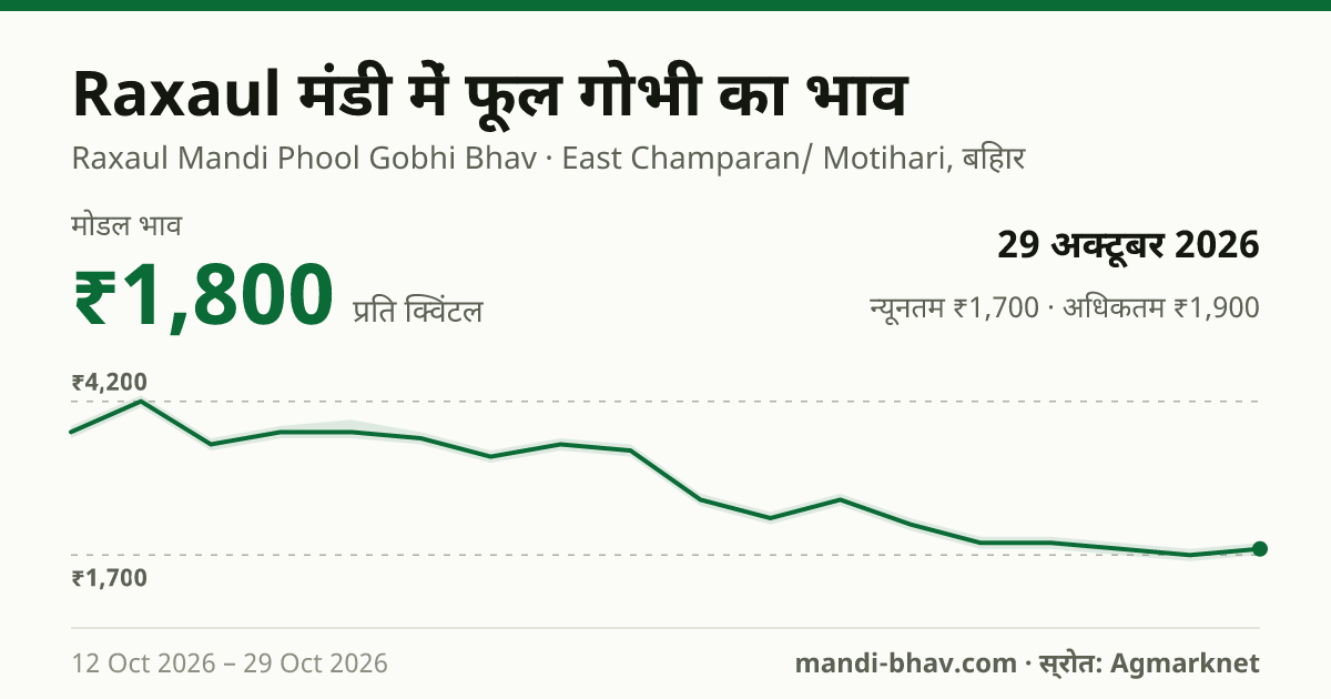 Raxaul मंडी में फूल गोभी का भाव 29 अक्टूबर 2026: मोडल ₹1,800 प्रति क्विंटल, भाव के रुझान का चार्ट