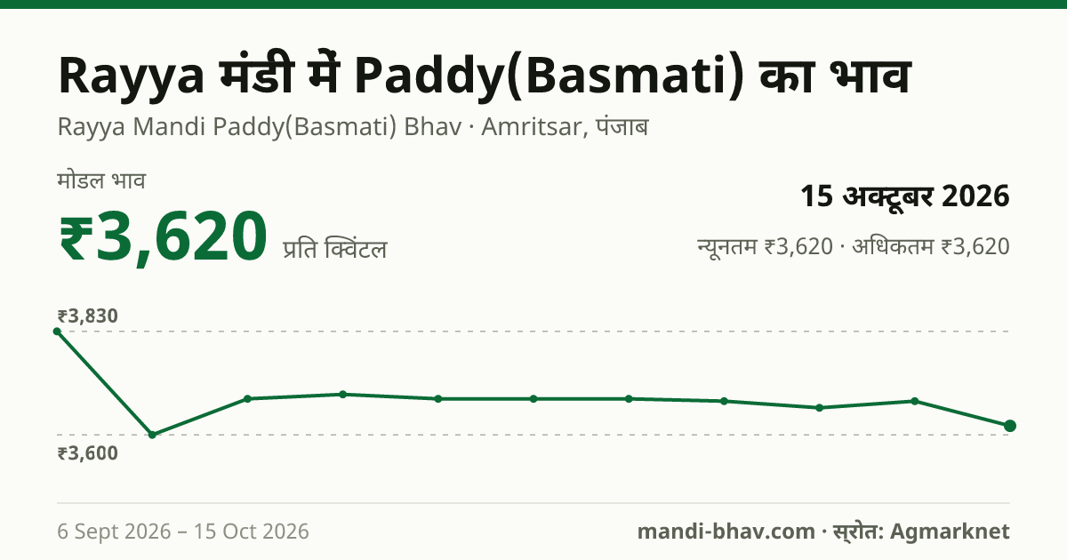 Rayya मंडी में Paddy(Basmati) का भाव 15 अक्टूबर 2026: मोडल ₹3,620 प्रति क्विंटल, भाव के रुझान का चार्ट