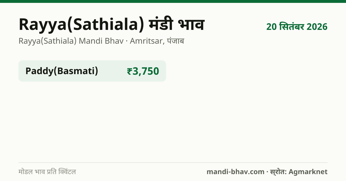 Rayya(Sathiala) मंडी भाव 20 सितंबर 2026: फसलवार मोडल रेट प्रति क्विंटल