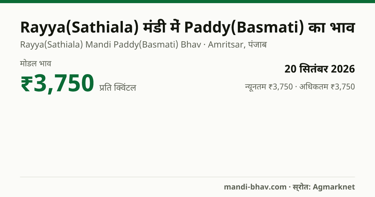 Rayya(Sathiala) मंडी में Paddy(Basmati) का भाव 20 सितंबर 2026: मोडल ₹3,750 प्रति क्विंटल, भाव के रुझान का चार्ट