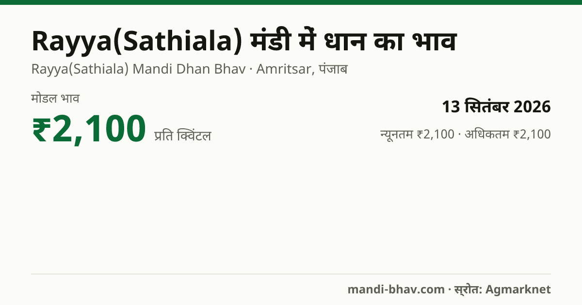 Rayya(Sathiala) मंडी में धान का भाव 13 सितंबर 2026: मोडल ₹2,100 प्रति क्विंटल, भाव के रुझान का चार्ट