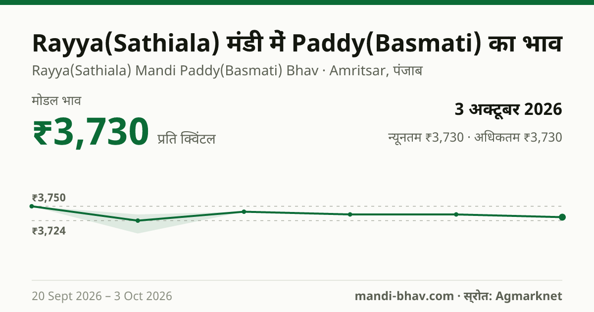 Rayya(Sathiala) मंडी में Paddy(Basmati) का भाव 3 अक्टूबर 2026: मोडल ₹3,730 प्रति क्विंटल, भाव के रुझान का चार्ट