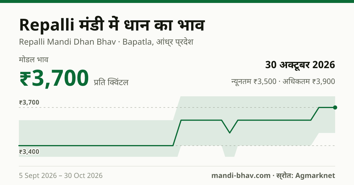 Repalli मंडी में धान का भाव 30 अक्टूबर 2026: मोडल ₹3,700 प्रति क्विंटल, भाव के रुझान का चार्ट