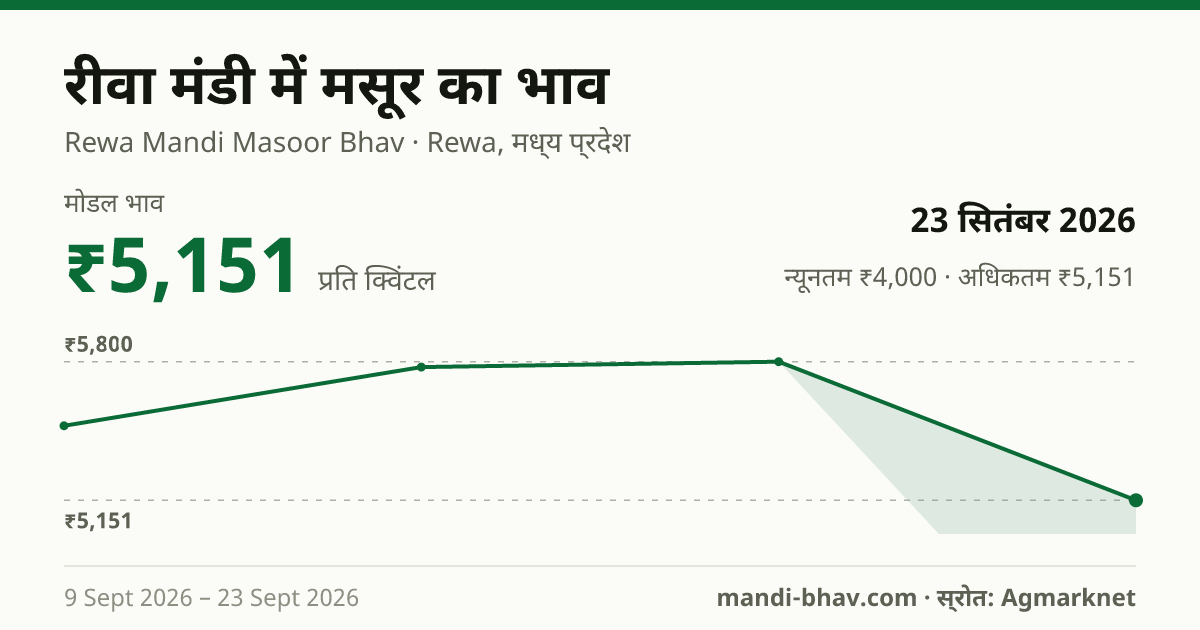 रीवा मंडी में मसूर का भाव 23 सितंबर 2026: मोडल ₹5,151 प्रति क्विंटल, भाव के रुझान का चार्ट