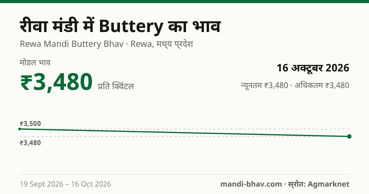 रीवा मंडी में Buttery का भाव 16 अक्टूबर 2026: मोडल ₹3,480 प्रति क्विंटल, भाव के रुझान का चार्ट