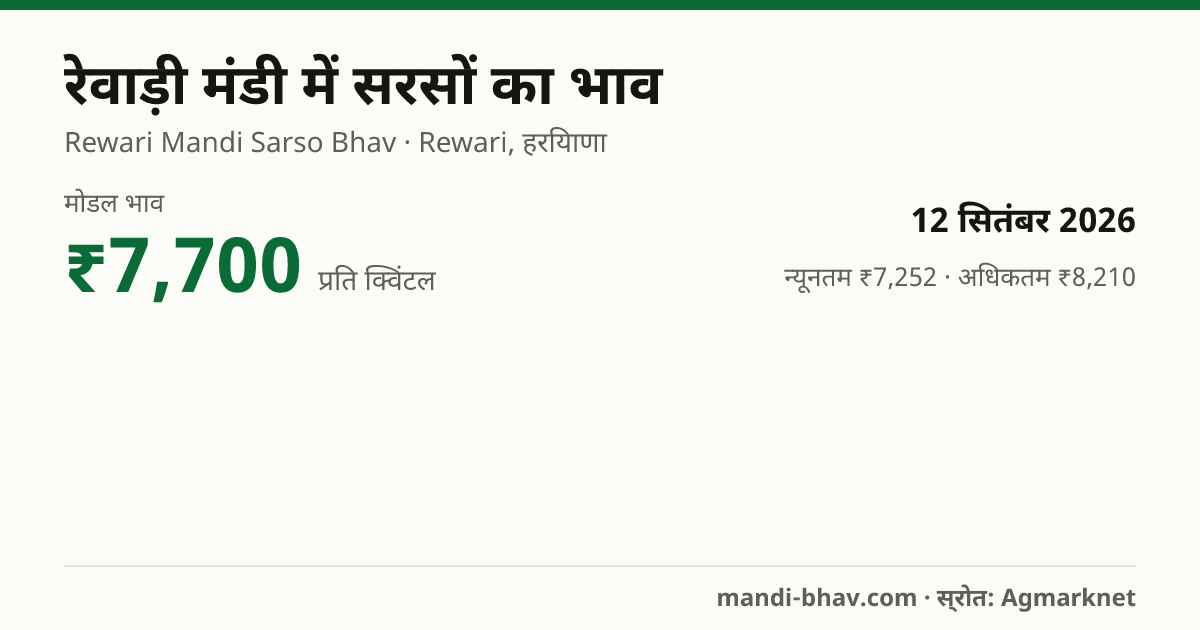रेवाड़ी मंडी में सरसों का भाव 12 सितंबर 2026: मोडल ₹7,700 प्रति क्विंटल, भाव के रुझान का चार्ट