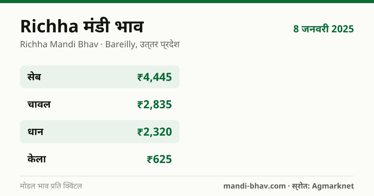 Richha मंडी भाव 8 जनवरी 2025: फसलवार मोडल रेट प्रति क्विंटल