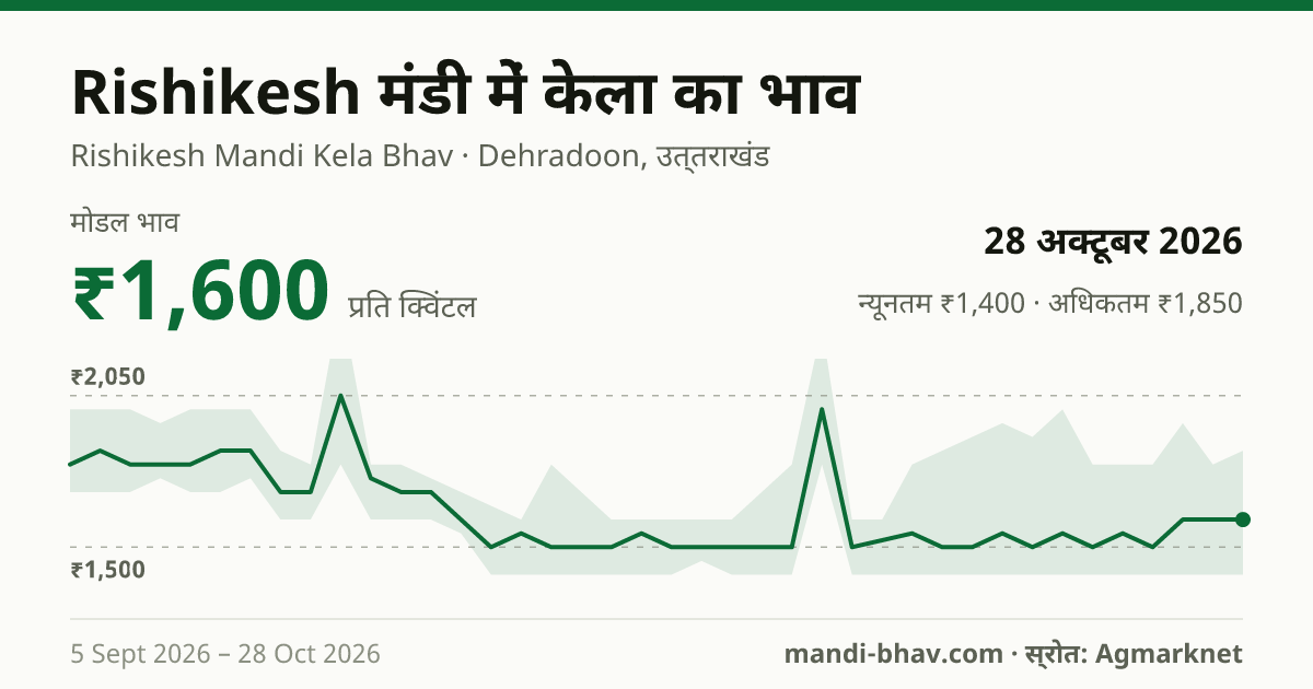 Rishikesh मंडी में केला का भाव 28 अक्टूबर 2026: मोडल ₹1,600 प्रति क्विंटल, भाव के रुझान का चार्ट