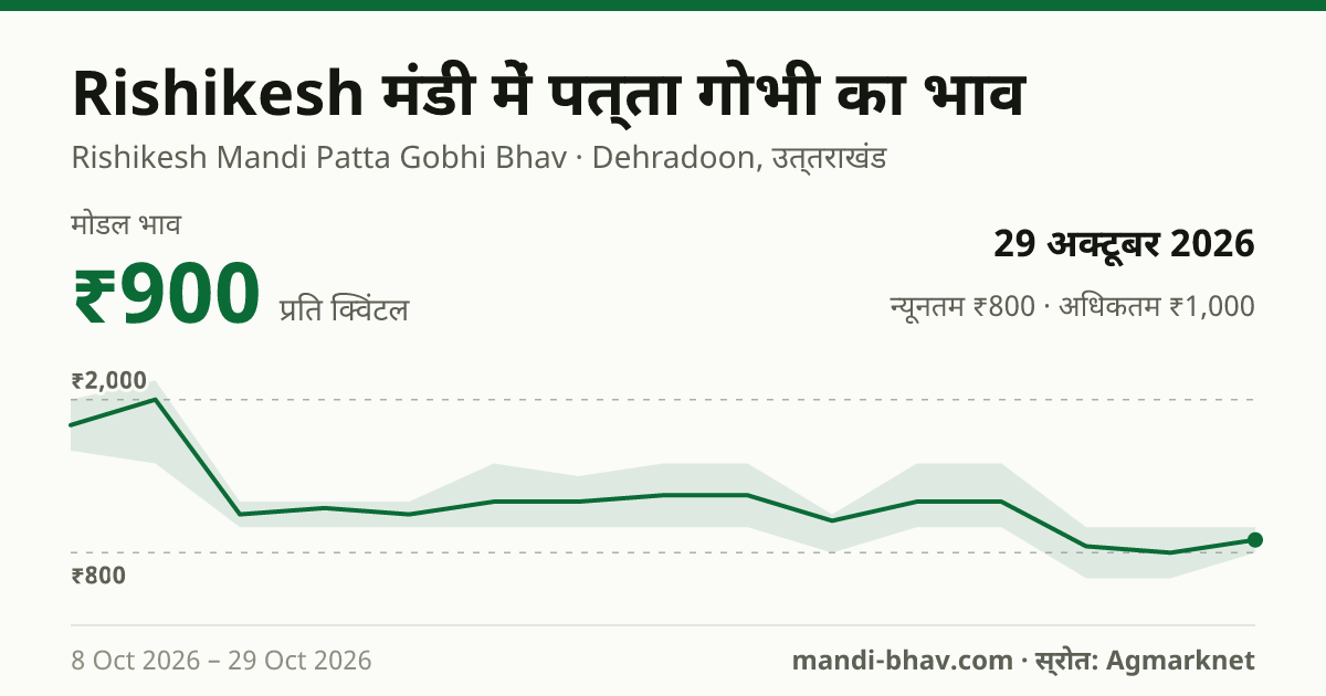 Rishikesh मंडी में पत्ता गोभी का भाव 29 अक्टूबर 2026: मोडल ₹900 प्रति क्विंटल, भाव के रुझान का चार्ट