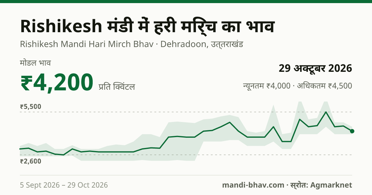Rishikesh मंडी में हरी मिर्च का भाव 29 अक्टूबर 2026: मोडल ₹4,200 प्रति क्विंटल, भाव के रुझान का चार्ट