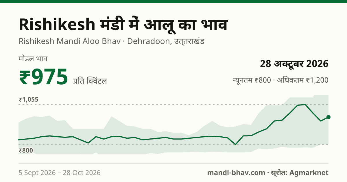 Rishikesh मंडी में आलू का भाव 28 अक्टूबर 2026: मोडल ₹975 प्रति क्विंटल, भाव के रुझान का चार्ट