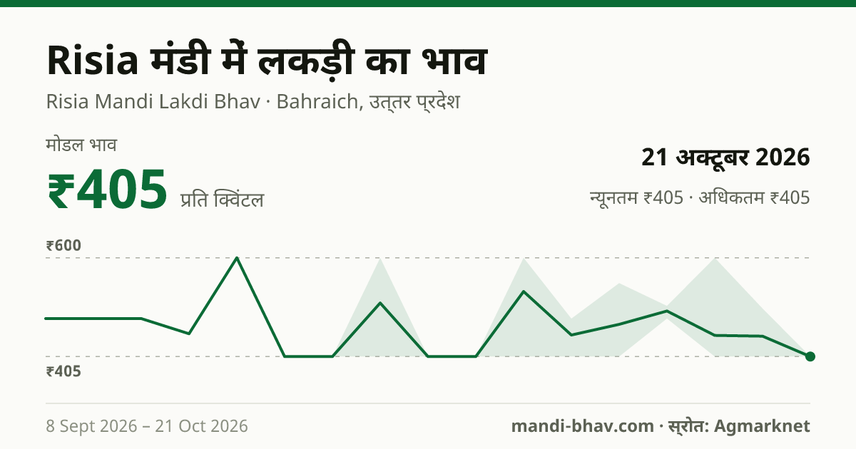 Risia मंडी में Wood का भाव 21 अक्टूबर 2026: मोडल ₹405 प्रति क्विंटल, भाव के रुझान का चार्ट