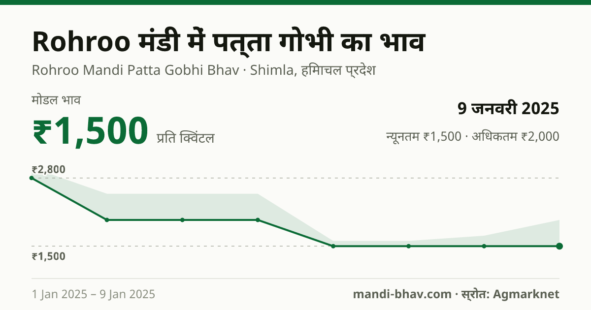 Rohroo मंडी में पत्ता गोभी का भाव 9 जनवरी 2025: मोडल ₹1,500 प्रति क्विंटल, भाव के रुझान का चार्ट