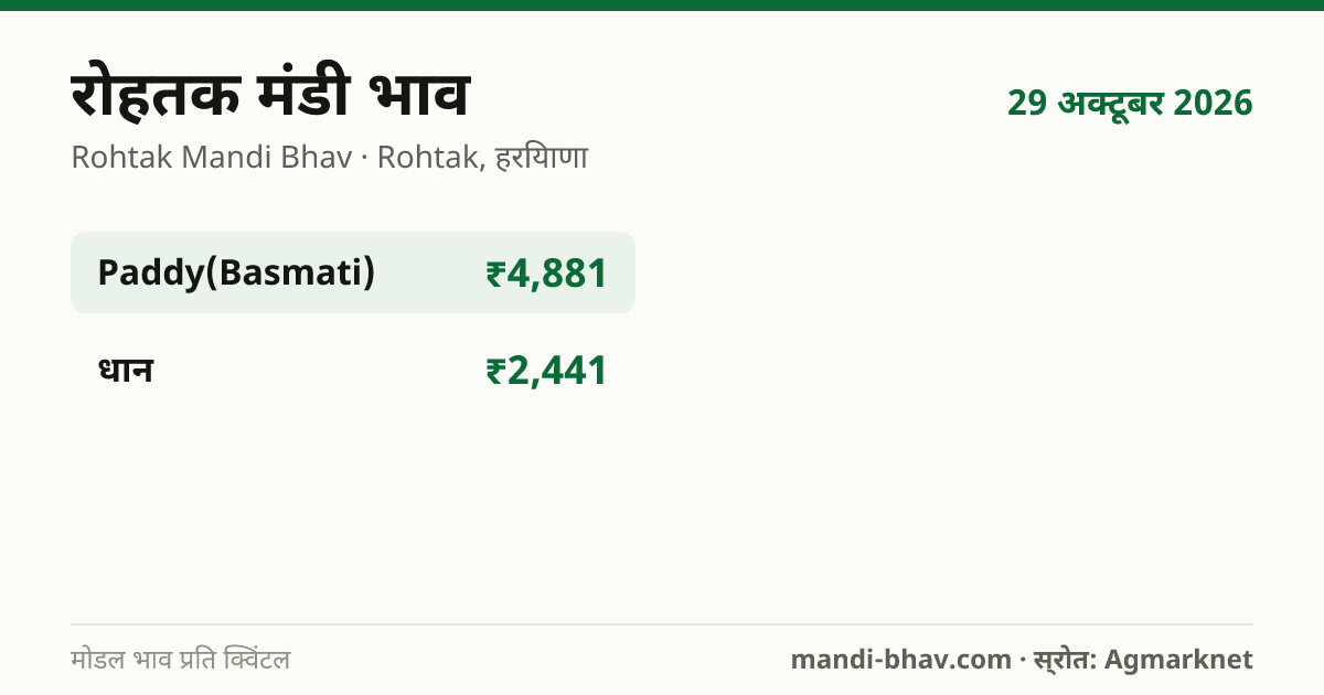 रोहतक मंडी भाव 29 अक्टूबर 2026: फसलवार मोडल रेट प्रति क्विंटल