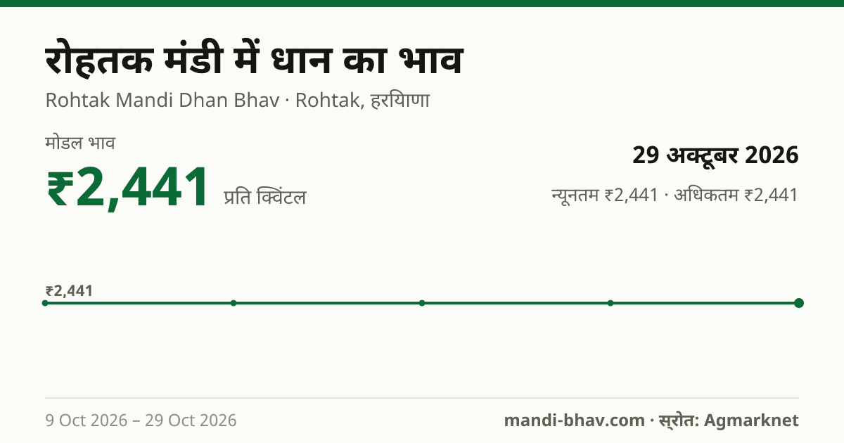 रोहतक मंडी में धान का भाव 29 अक्टूबर 2026: मोडल ₹2,441 प्रति क्विंटल, भाव के रुझान का चार्ट