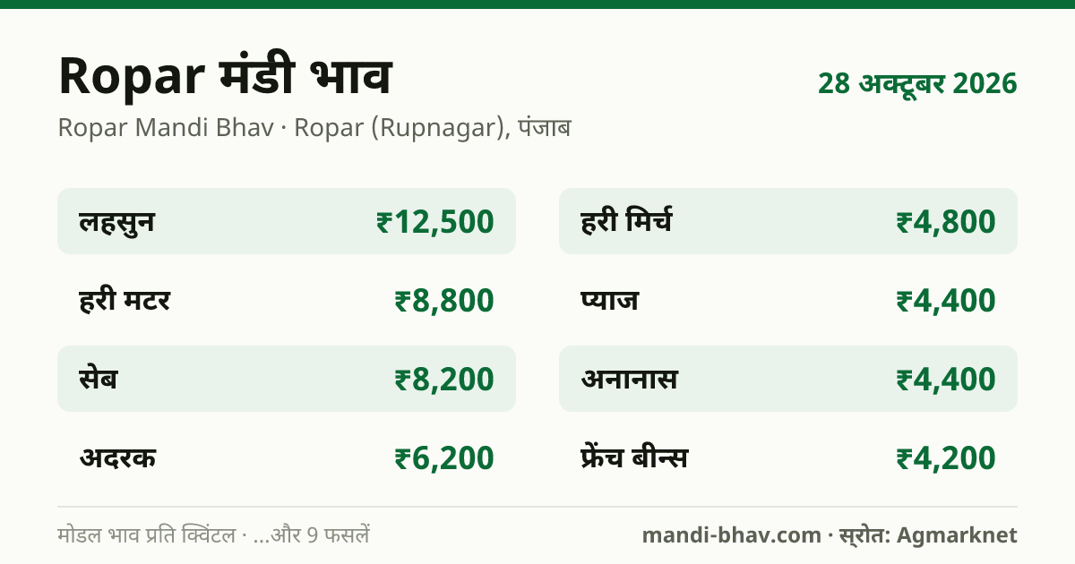 Ropar मंडी भाव 28 अक्टूबर 2026: फसलवार मोडल रेट प्रति क्विंटल
