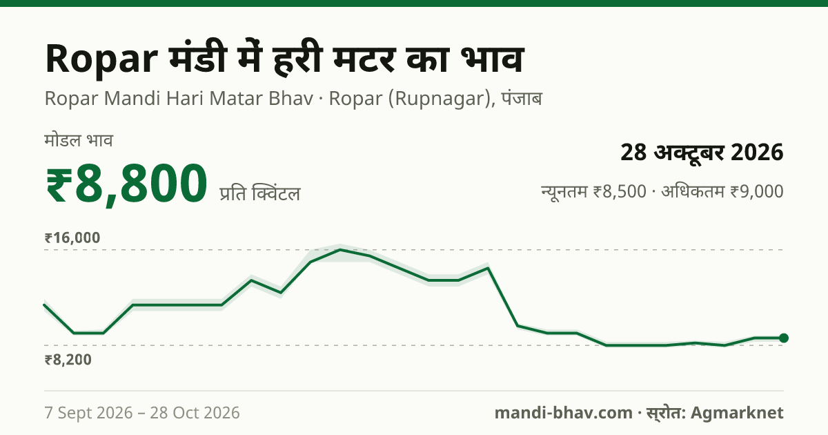 Ropar मंडी में हरी मटर का भाव 28 अक्टूबर 2026: मोडल ₹8,800 प्रति क्विंटल, भाव के रुझान का चार्ट