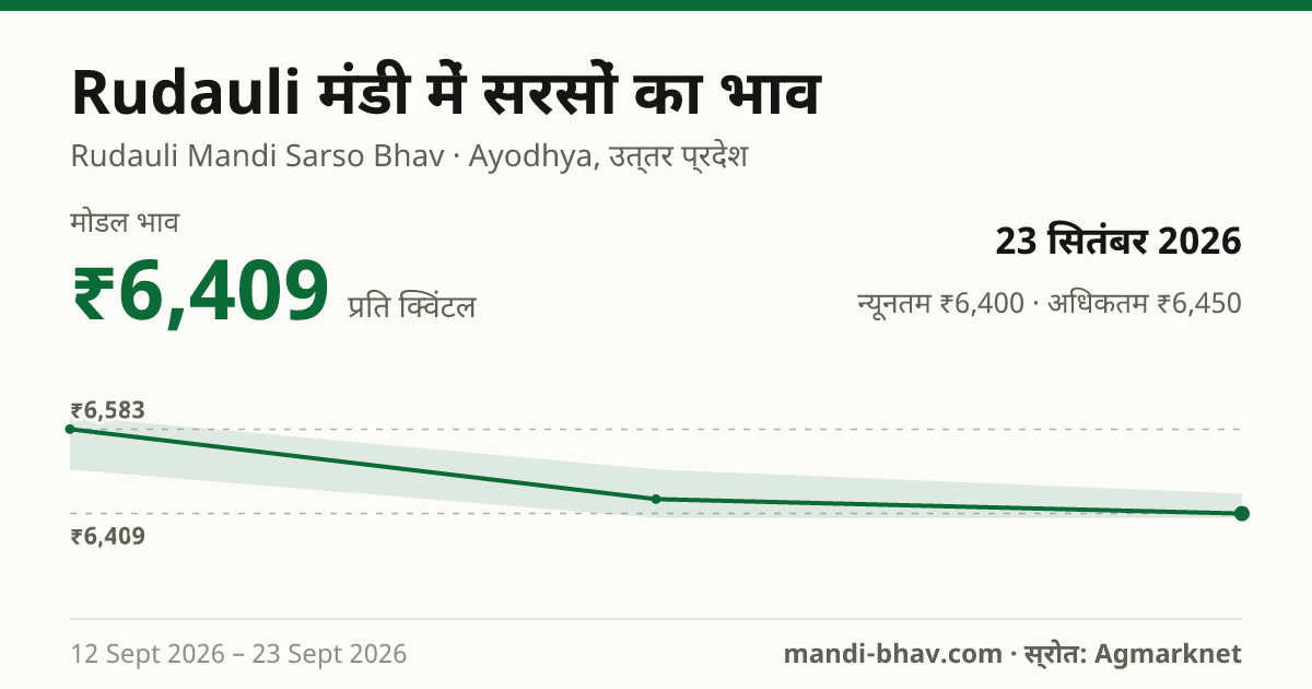 Rudauli मंडी में सरसों का भाव 23 सितंबर 2026: मोडल ₹6,409 प्रति क्विंटल, भाव के रुझान का चार्ट