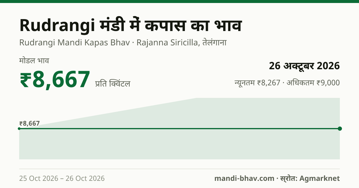 Rudrangi मंडी में कपास का भाव 26 अक्टूबर 2026: मोडल ₹8,667 प्रति क्विंटल, भाव के रुझान का चार्ट