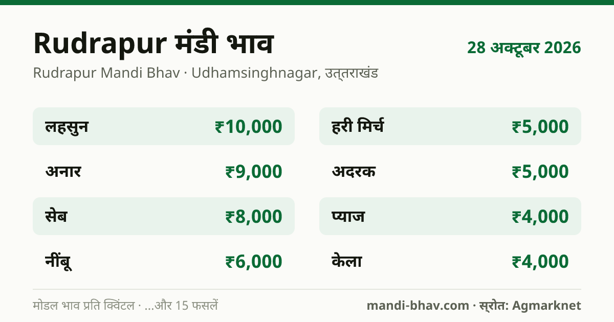 Rudrapur मंडी भाव 28 अक्टूबर 2026: फसलवार मोडल रेट प्रति क्विंटल