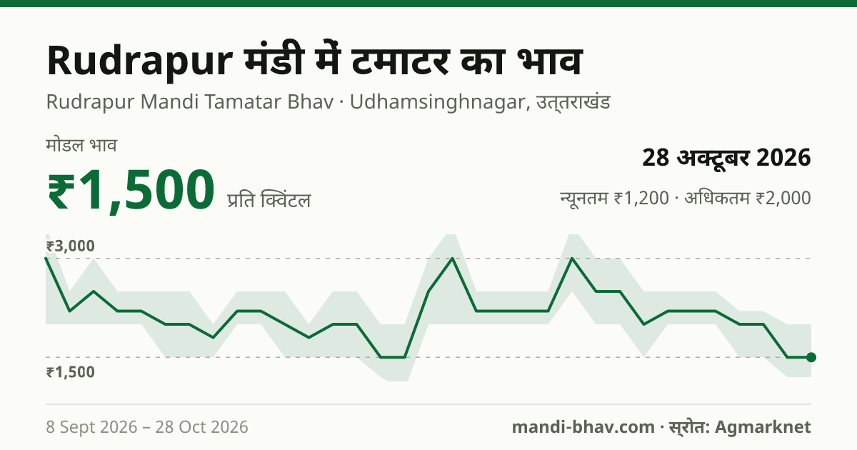 Rudrapur मंडी में टमाटर का भाव 28 अक्टूबर 2026: मोडल ₹1,500 प्रति क्विंटल, भाव के रुझान का चार्ट